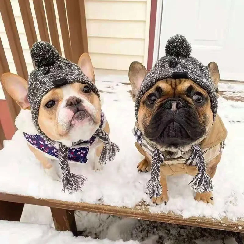 Bonnet coupe-vent pour chien
