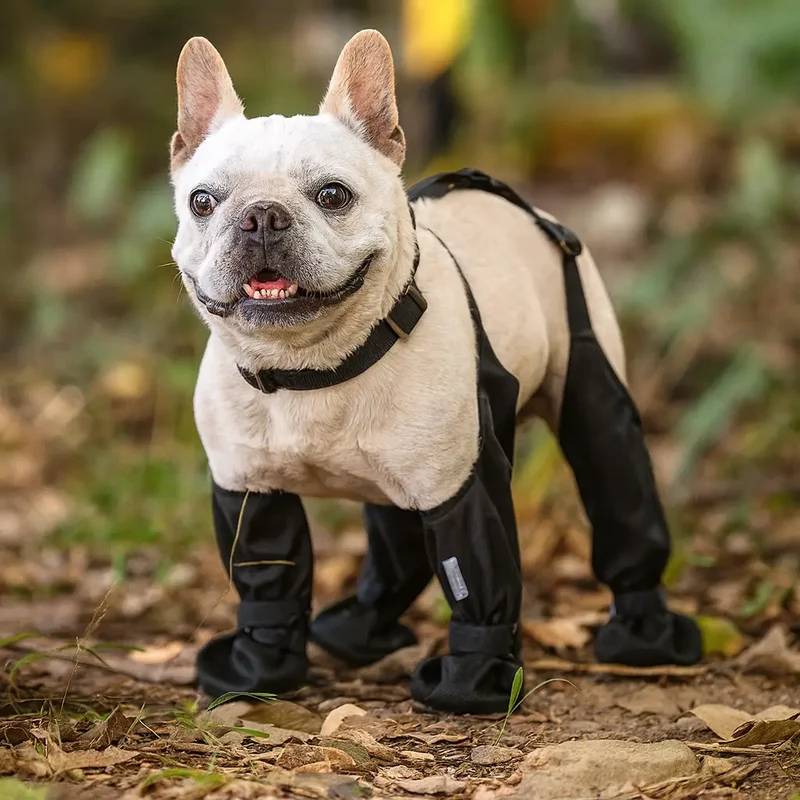 Bottes a bretelle pour chien