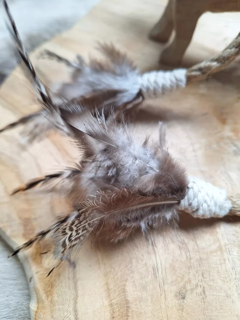 Jouet pour chat Snake O Plumes – La chasse à la maison