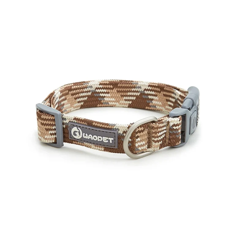 Collier chiot jack russel