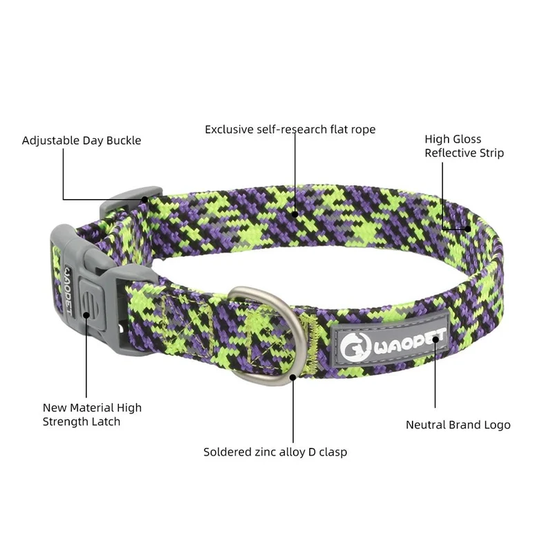 Collier chiot husky