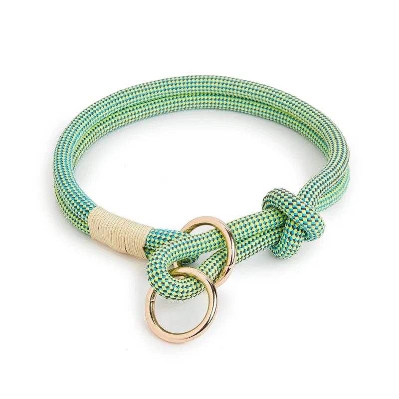 Collier chiot beagle