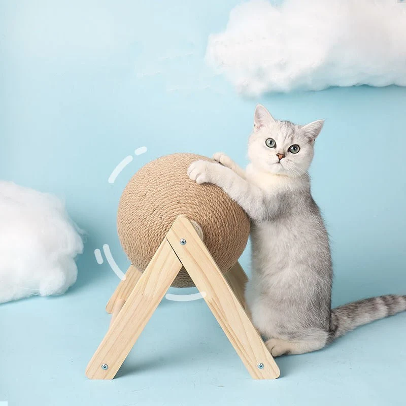 Boule de jeu pour chats