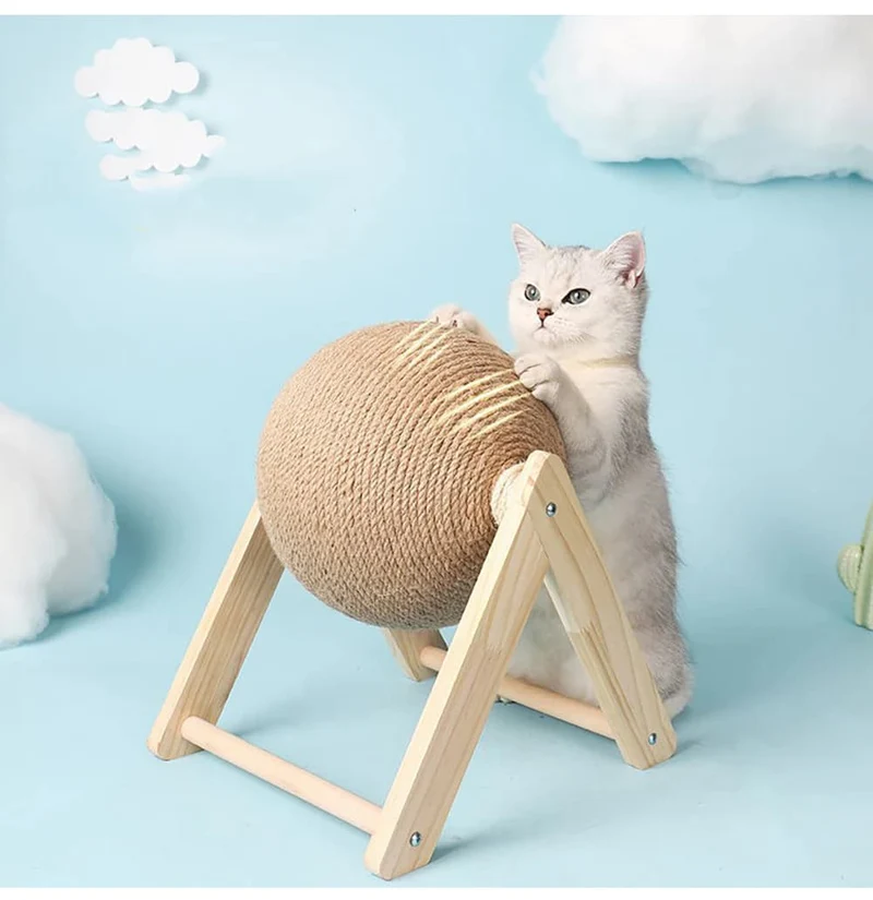 Boule de jeu pour chats
