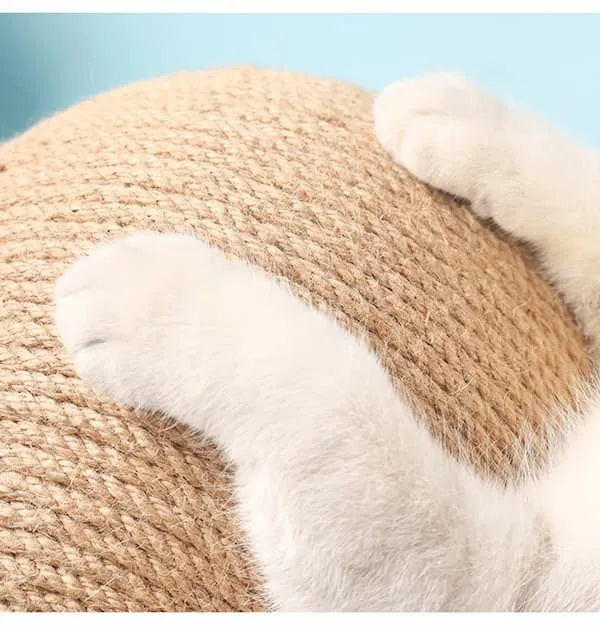 Boule de jeu pour chats