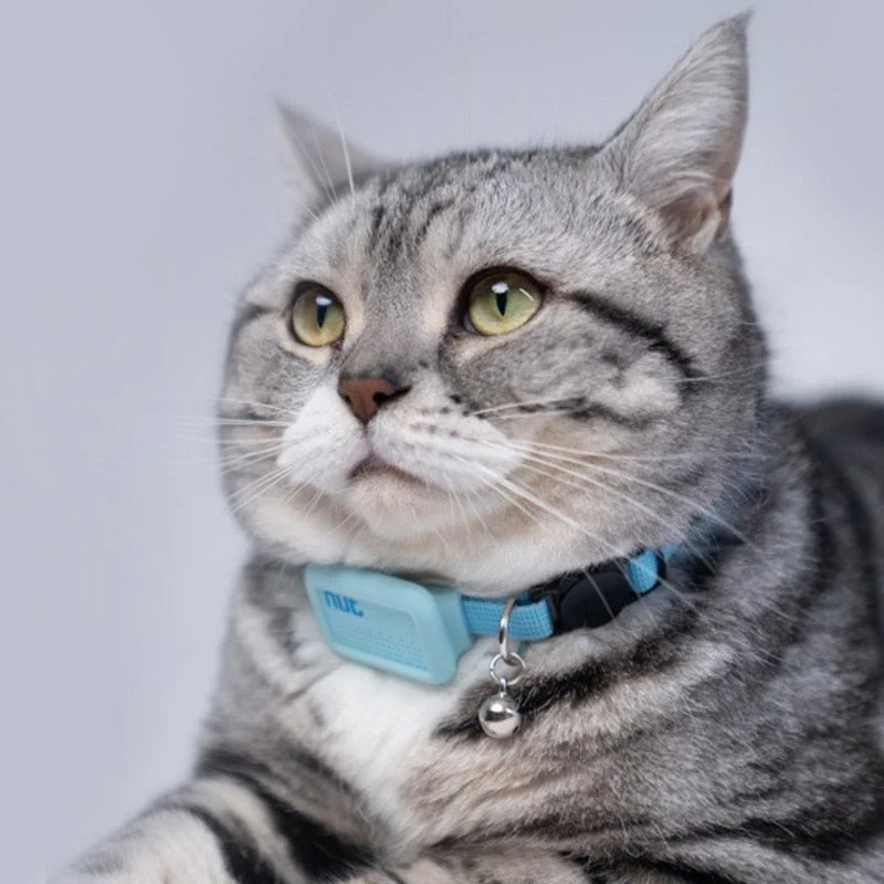 Collier bluetooth pour chat