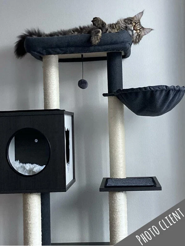 Arbre à chat 150 cm - Modèle : El Coco
