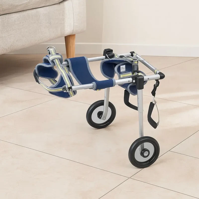 Chariot pour chien handicapé