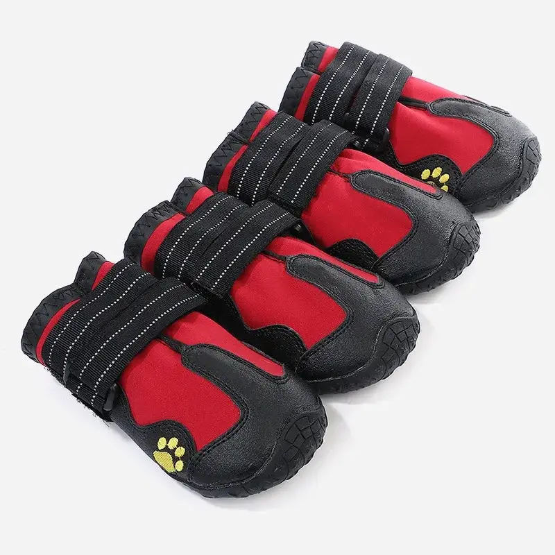 Chaussures résistantes pour chien