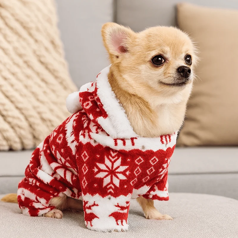 Déguisement pull de noël pour chiens
