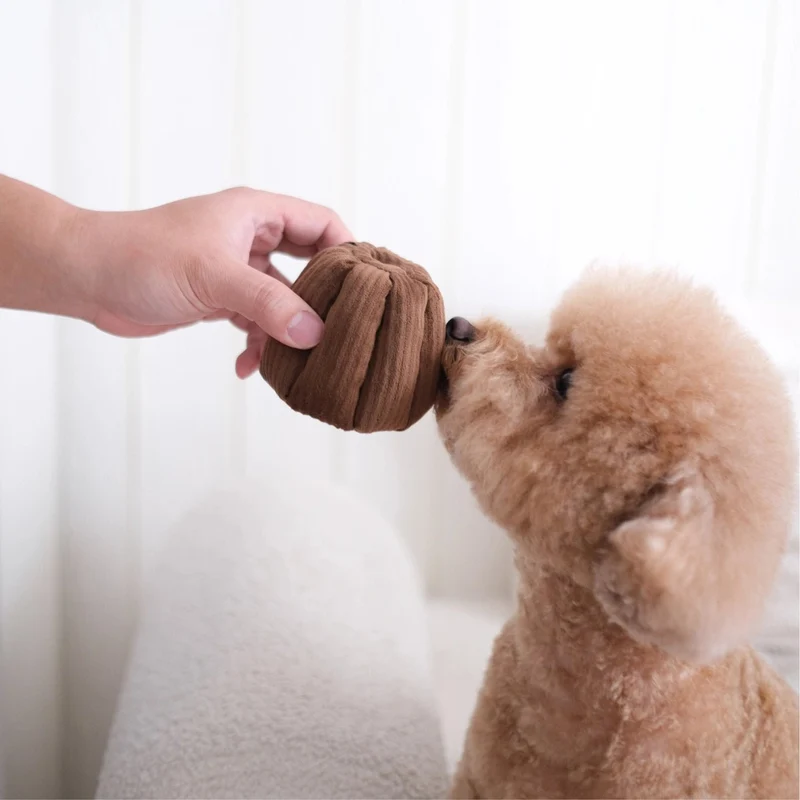🤍 CANELE – Le jouet de fouille chic pensé pour les petits chiens