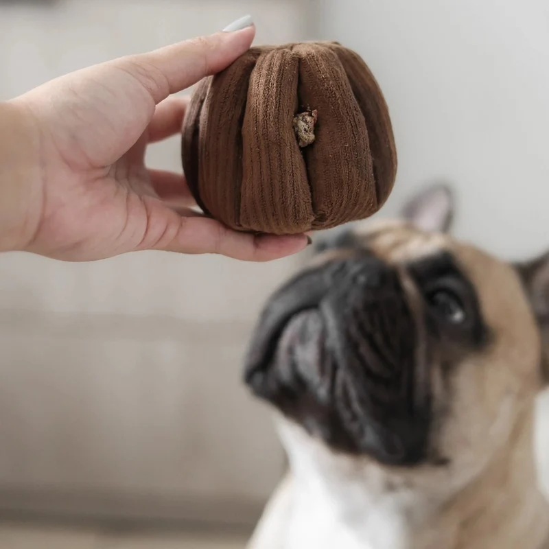 🤍 CANELE – Le jouet de fouille chic pensé pour les petits chiens