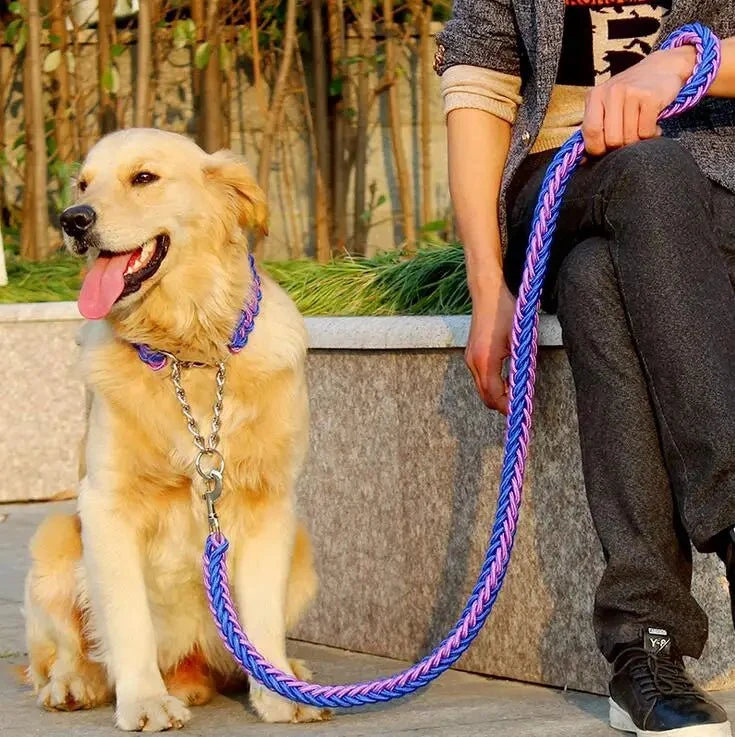 Laisse chien corde tressée