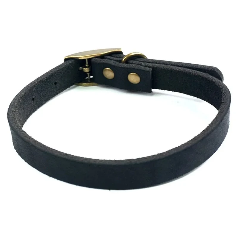 Collier chiot cuir