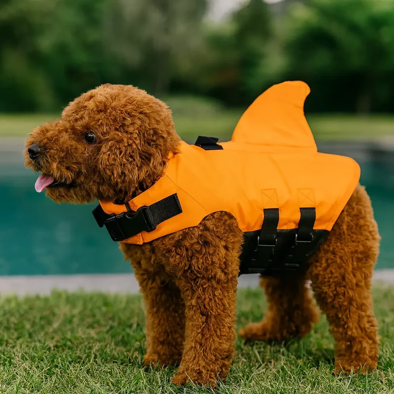 Gilet de sauvetage aileron pour chien