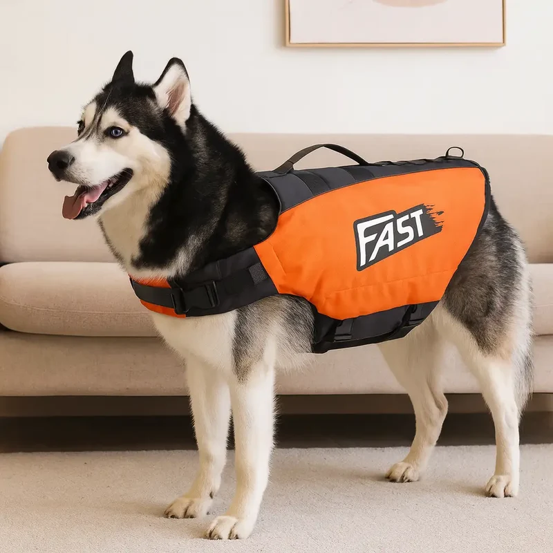 Gilet de sauvetage d'été pour chien