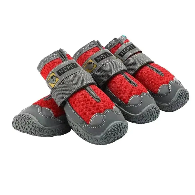 Bottes de protection pour chien