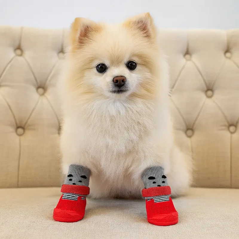 Bottes pour chien qui tiennent