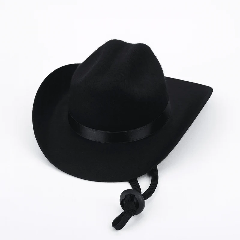 Chapeau Cowboy pour chien