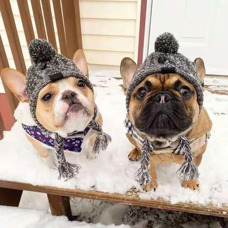 Bonnet coupe-vent pour chien