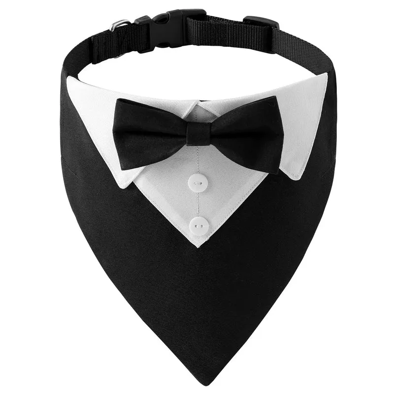 Bandana élégant pour chien