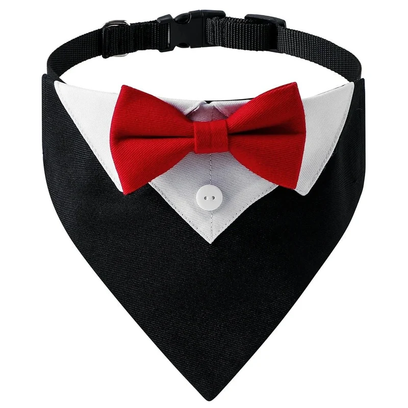 Bandana élégant pour chien