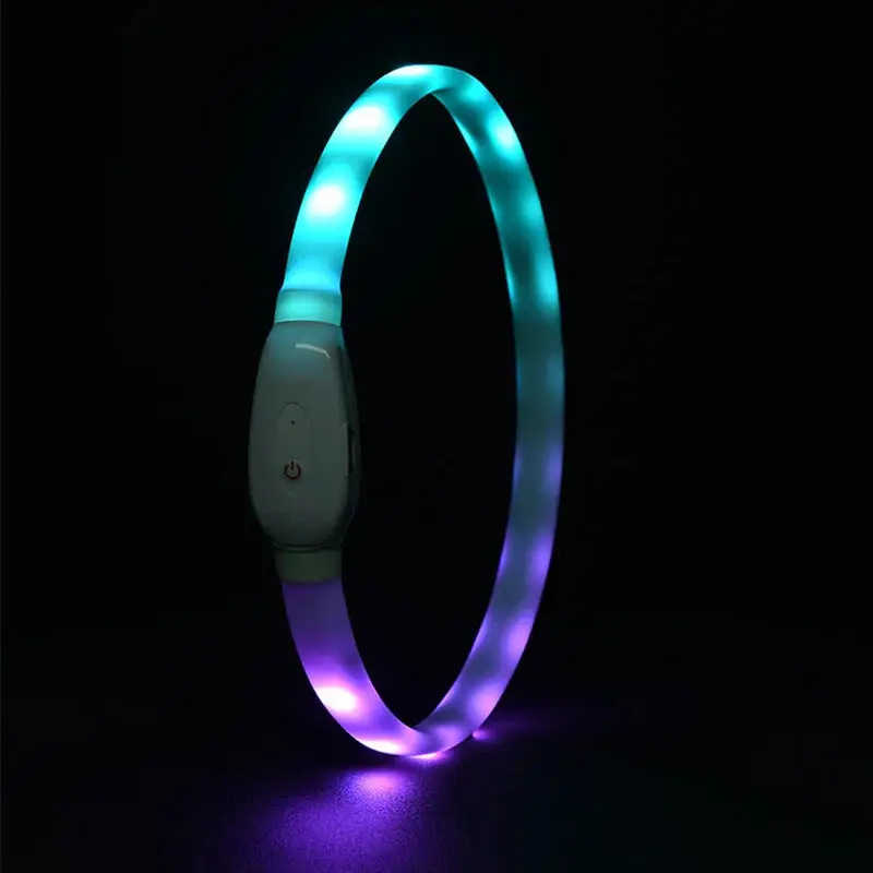 Collier USB rechargeable pour chien