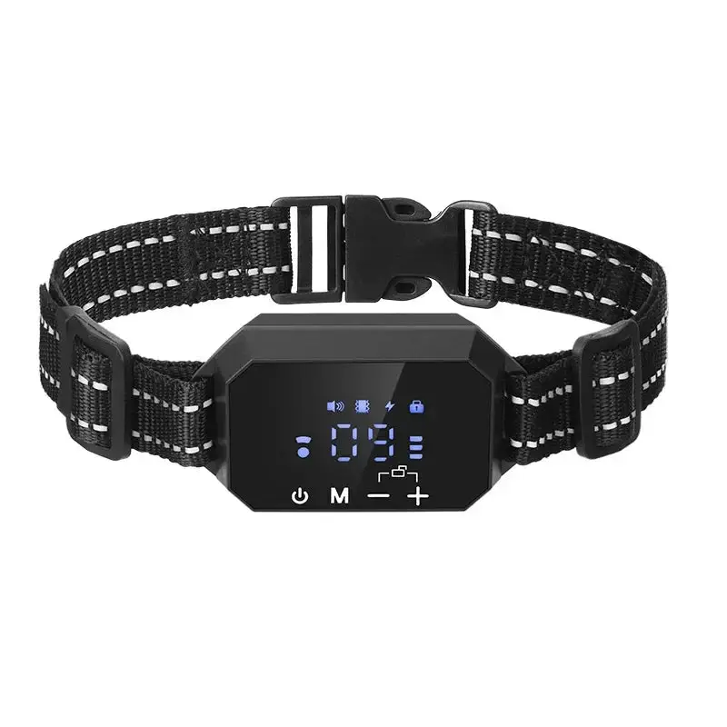 Collier GPS anti-fugue