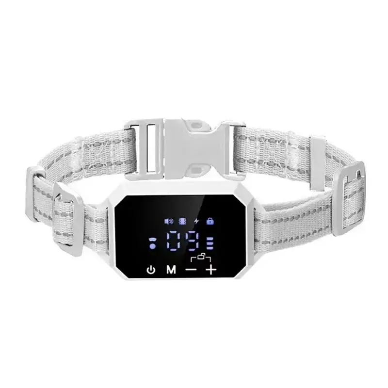 Collier GPS anti-fugue