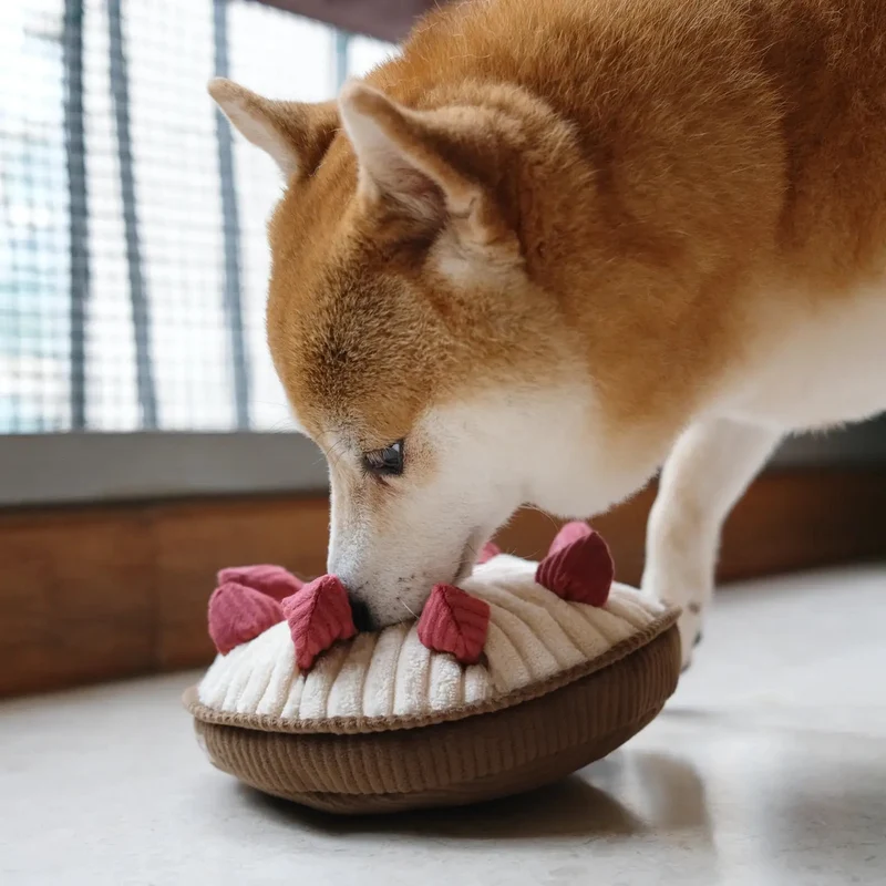 BERRY PIE 🍓 – La tarte gourmande de fouille pour chien