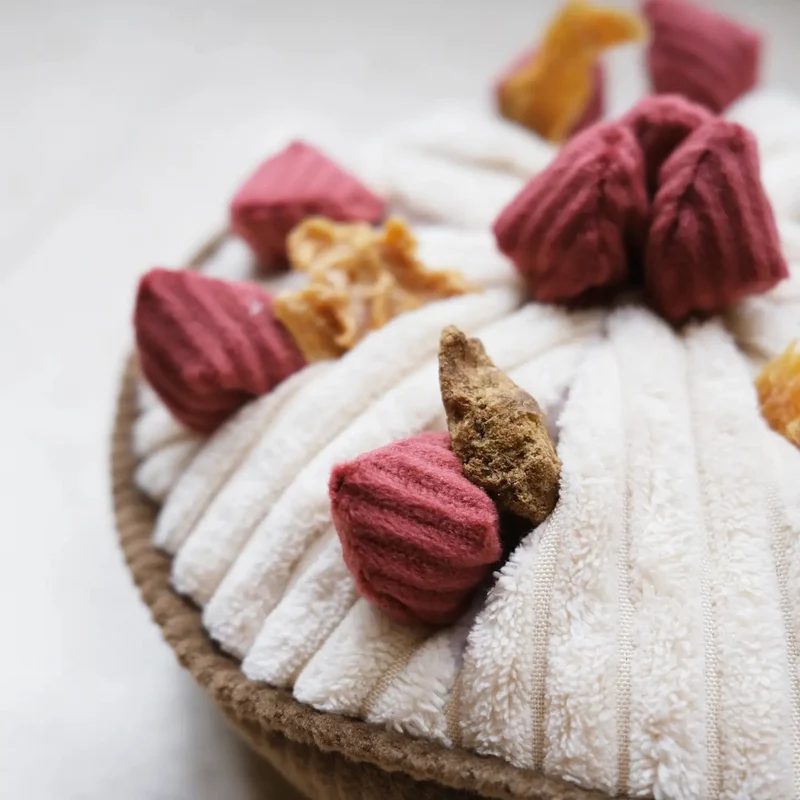 BERRY PIE 🍓 – La tarte gourmande de fouille pour chien