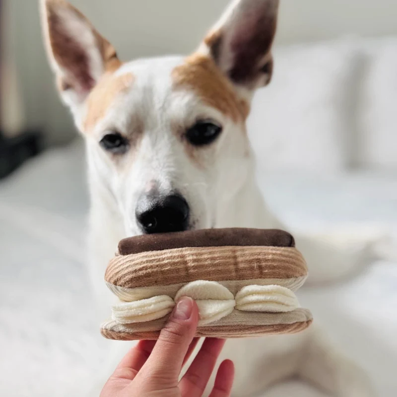 ÉCLAIR 🍫 – Le jouet gourmand qui réveille l’instinct de fouille