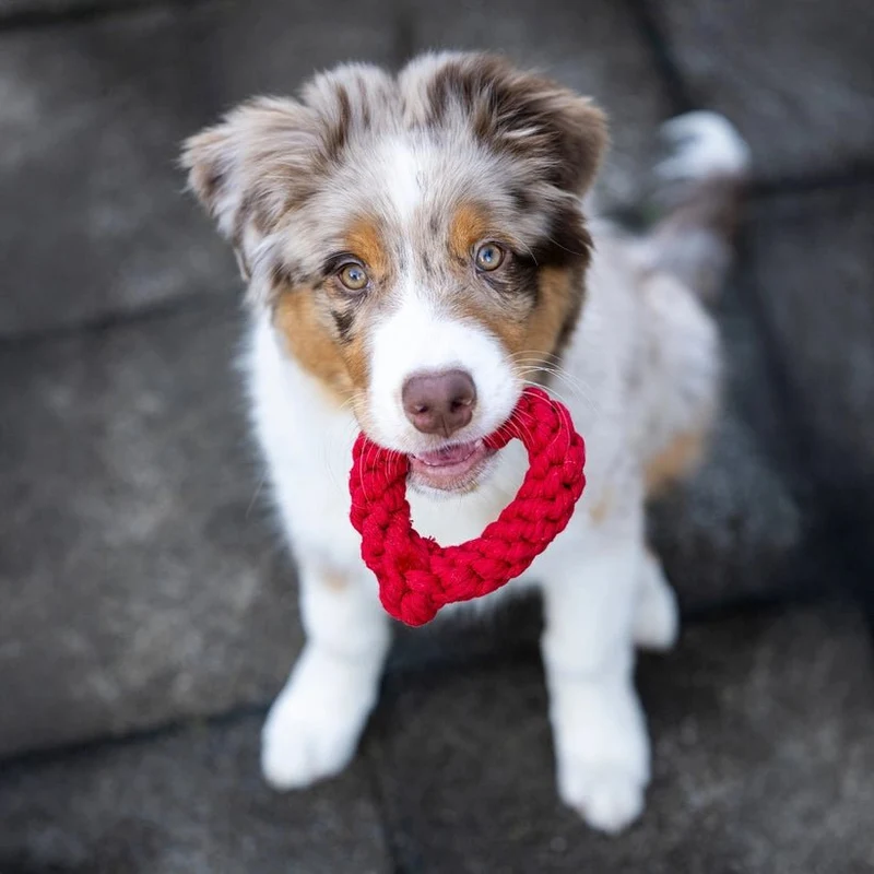 ❤️ Jouet en corde pour chien Cœur Rouge – Taille Mini
