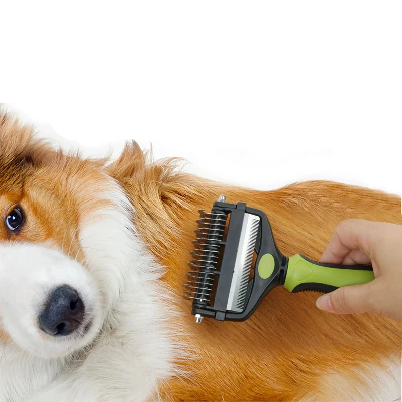 Brosse cocker