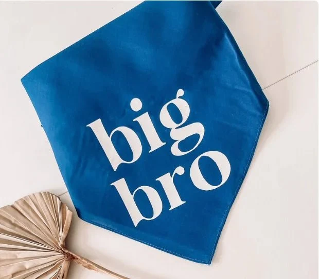 Bandana "Big Bro" pour chien