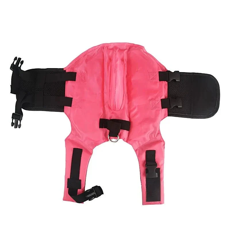 Gilet de sauvetage aileron pour chien