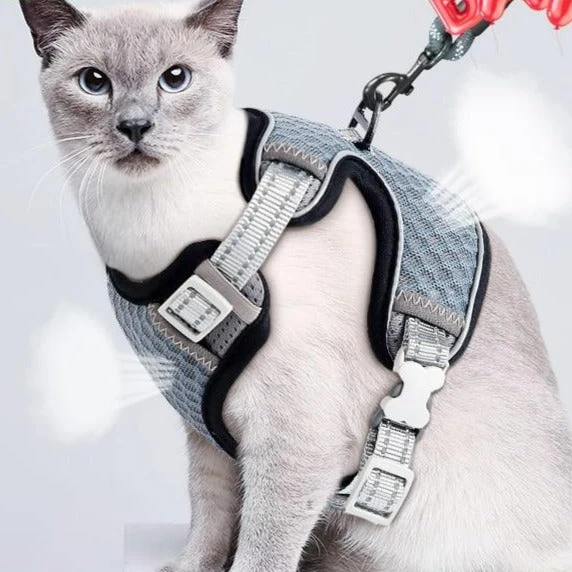 Harnais pour chat réglable et respirant – idéal Maine Coon & grands chats