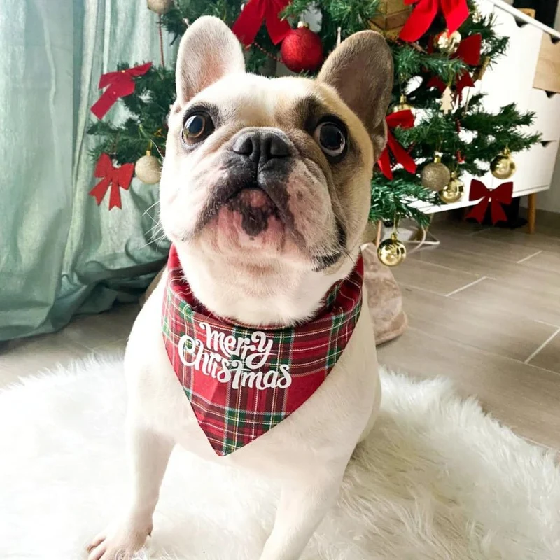 Bandana de Noël pour chien Merry Christmas