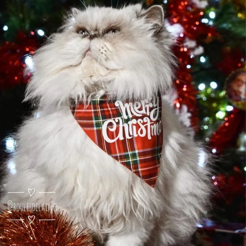 Bandana de Noël pour chien Merry Christmas
