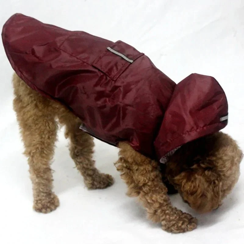 Veste de pluie pour chien
