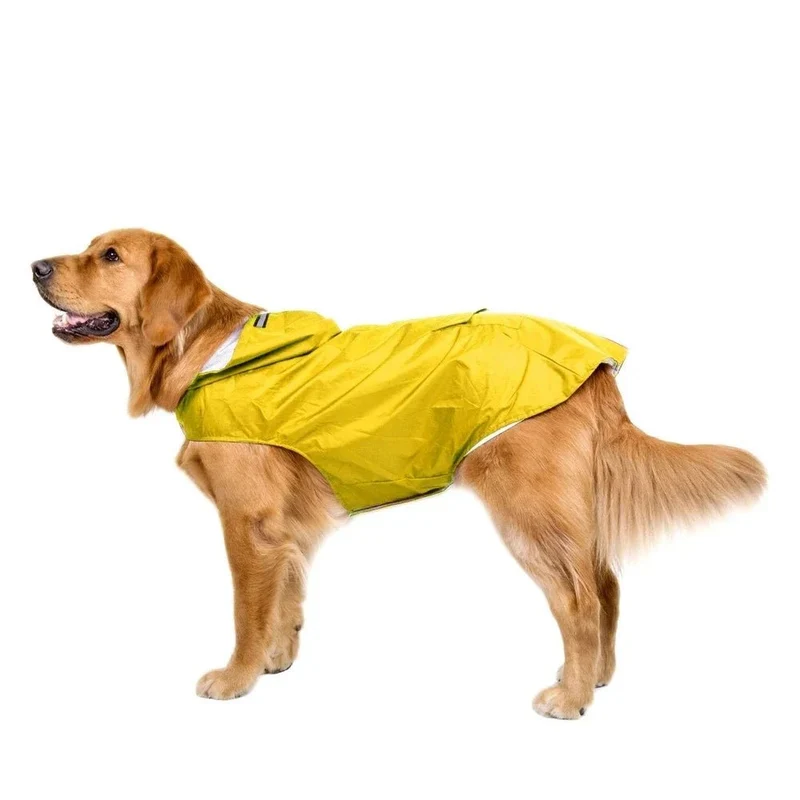 Veste de pluie pour chien