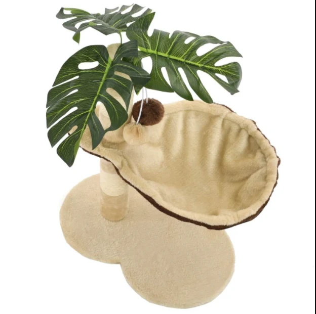 Arbre à chat palmier