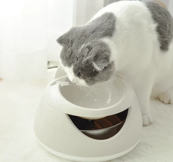Fontaine oreilles de chat