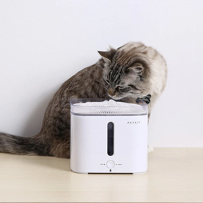 Fontaine de haute qualité de 2l pour chats