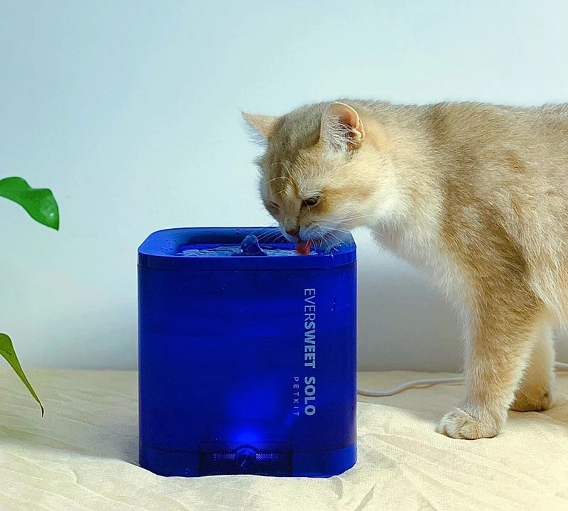 Fontaine au design coloré pour chat