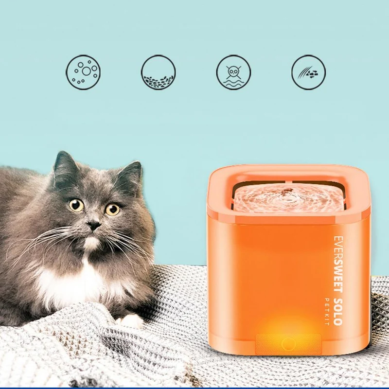 Fontaine au design coloré pour chat