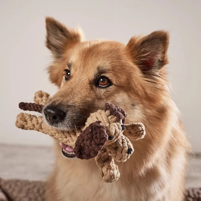 Jouet corde chien Doggy Dog – jeu sain et durable