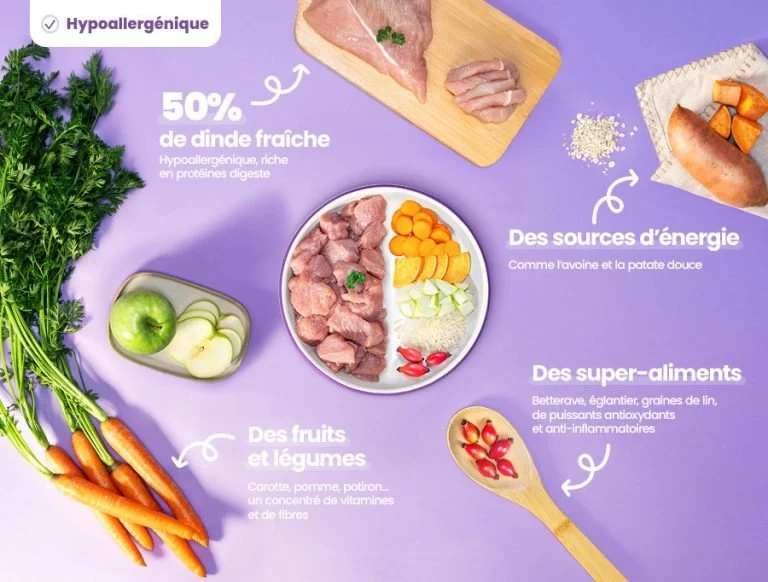 Recette Fraîche à la Dinde – Hypoallergénique & Festive DOG CHEF