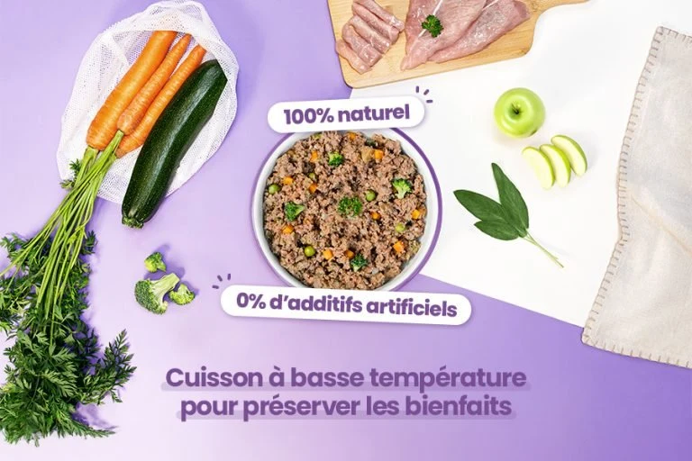 Recette Fraîche à la Dinde – Hypoallergénique & Festive DOG CHEF