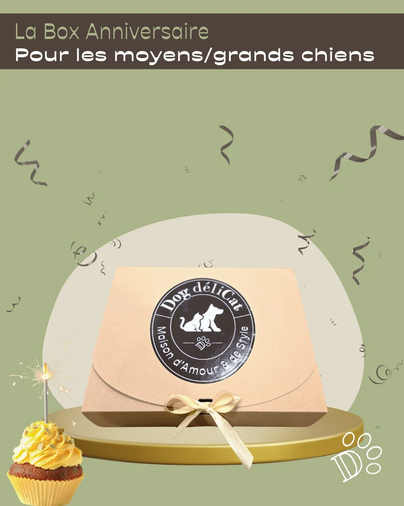 Box anniversaire grand chien – fête gourmande & jeux
